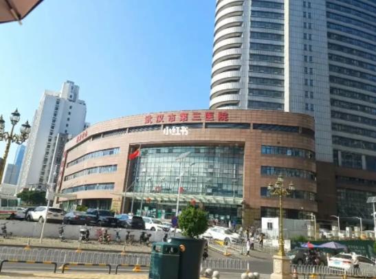 武汉市第三医院整形外科