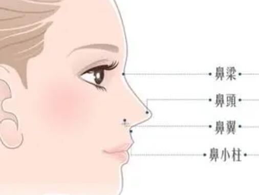 注射隆鼻哪种材料好？术前术后有什么注意事项吗？