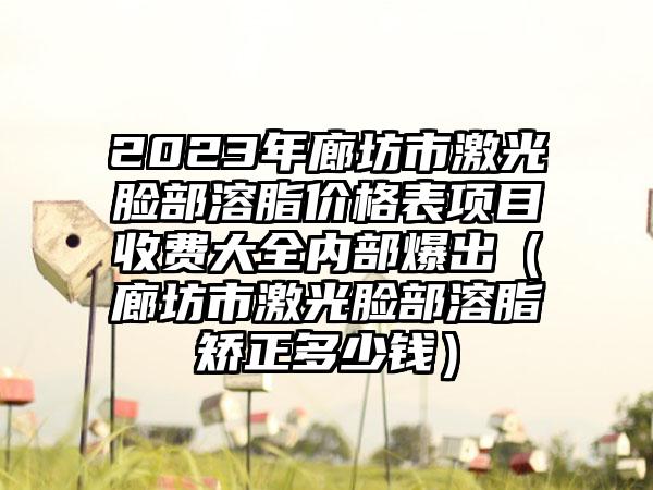 2023年廊坊市激光脸部溶脂价格表项目收费大全内部爆出（廊坊市激光脸部溶脂矫正多少钱）