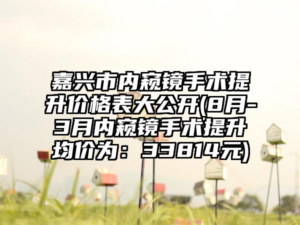 嘉兴市内窥镜手术提升价格表大公开(8月-3月内窥镜手术提升均价为：33814元)