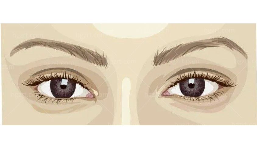 眉毛卡通图片 眉毛卡通图片