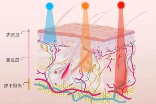 现在流行的医美项目有哪些?这几种热门项目分享,爱美者一定要知道 现在流行的医美项目有哪些?这几种热门项目分享,爱美者一定要知道