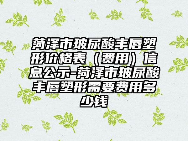 菏泽市玻尿酸丰唇塑形价格表（费用）信息公示-菏泽市玻尿酸丰唇塑形需要费用多少钱