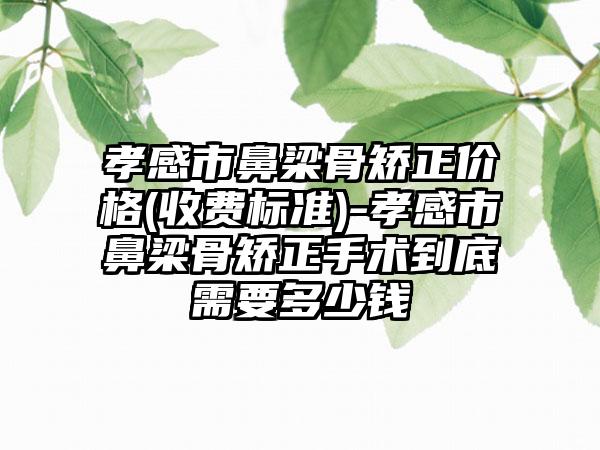 孝感市鼻梁骨矫正价格(收费标准)-孝感市鼻梁骨矫正手术到底需要多少钱