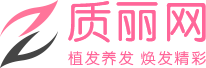 质丽网logo